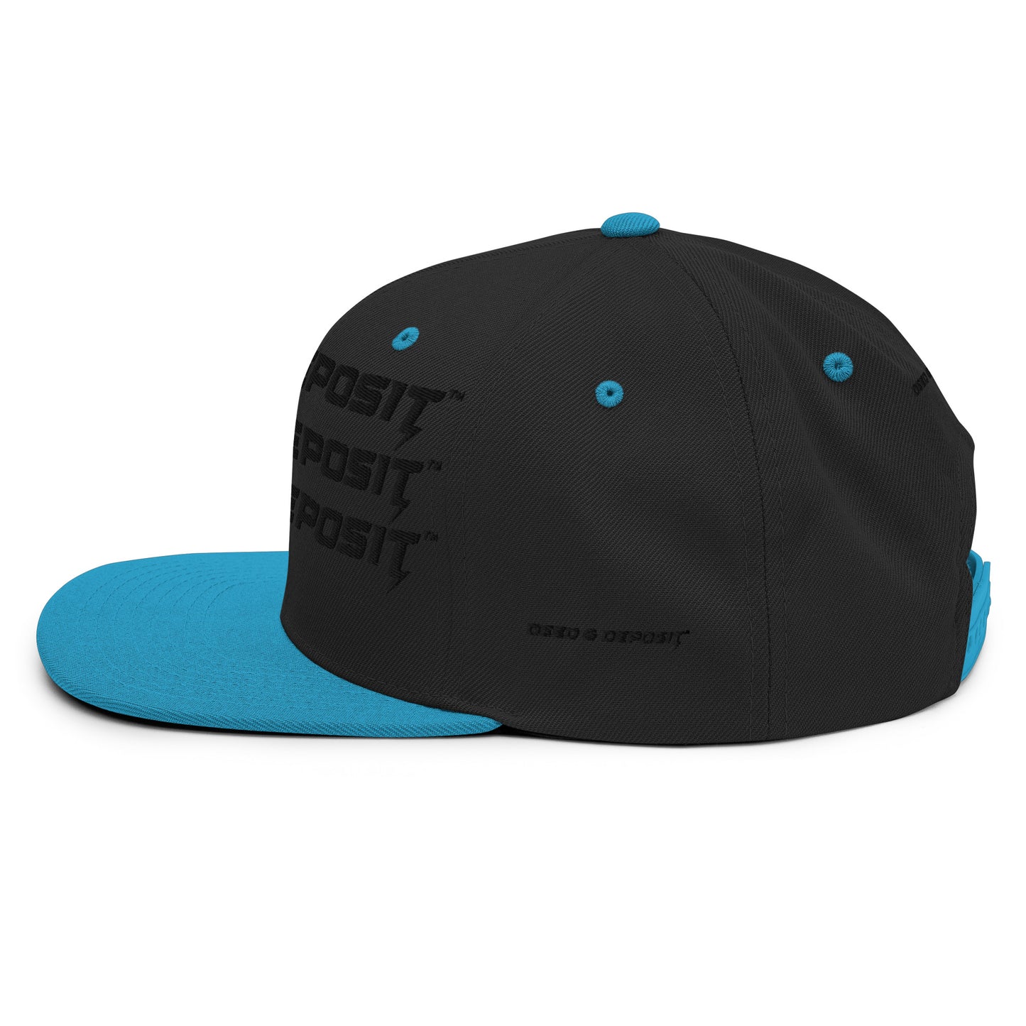 DEED & DEPOSIT™ Logo 3 SnapBack Hat