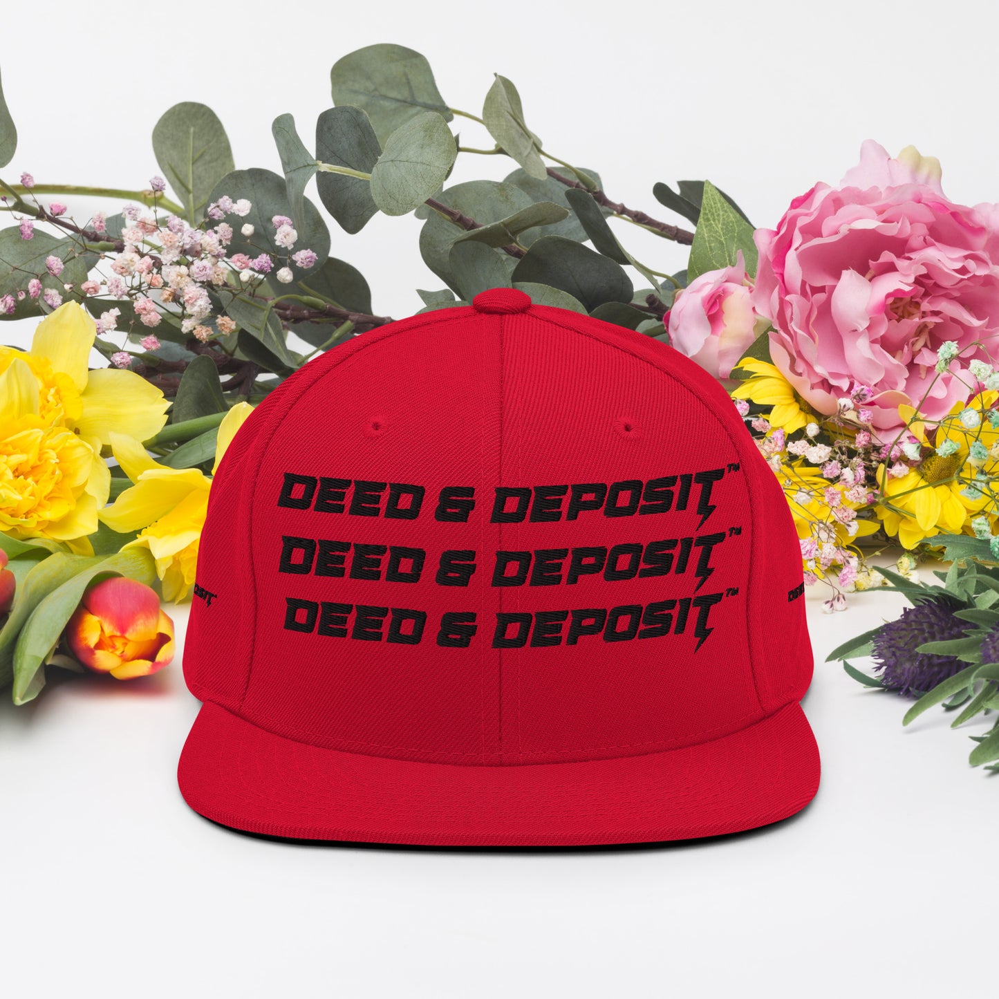 DEED & DEPOSIT™ Logo 3 SnapBack Hat