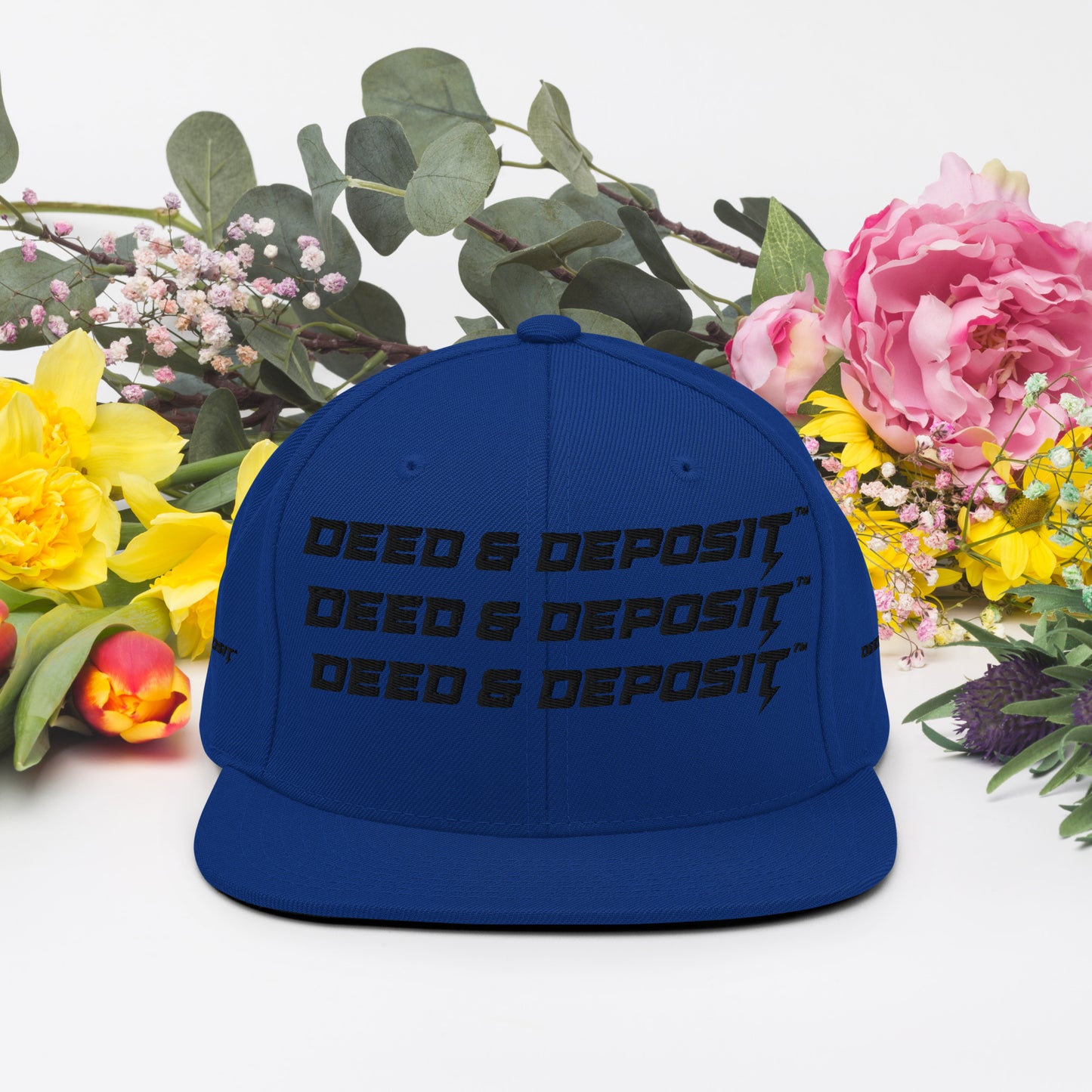 DEED & DEPOSIT™ Logo 3 SnapBack Hat